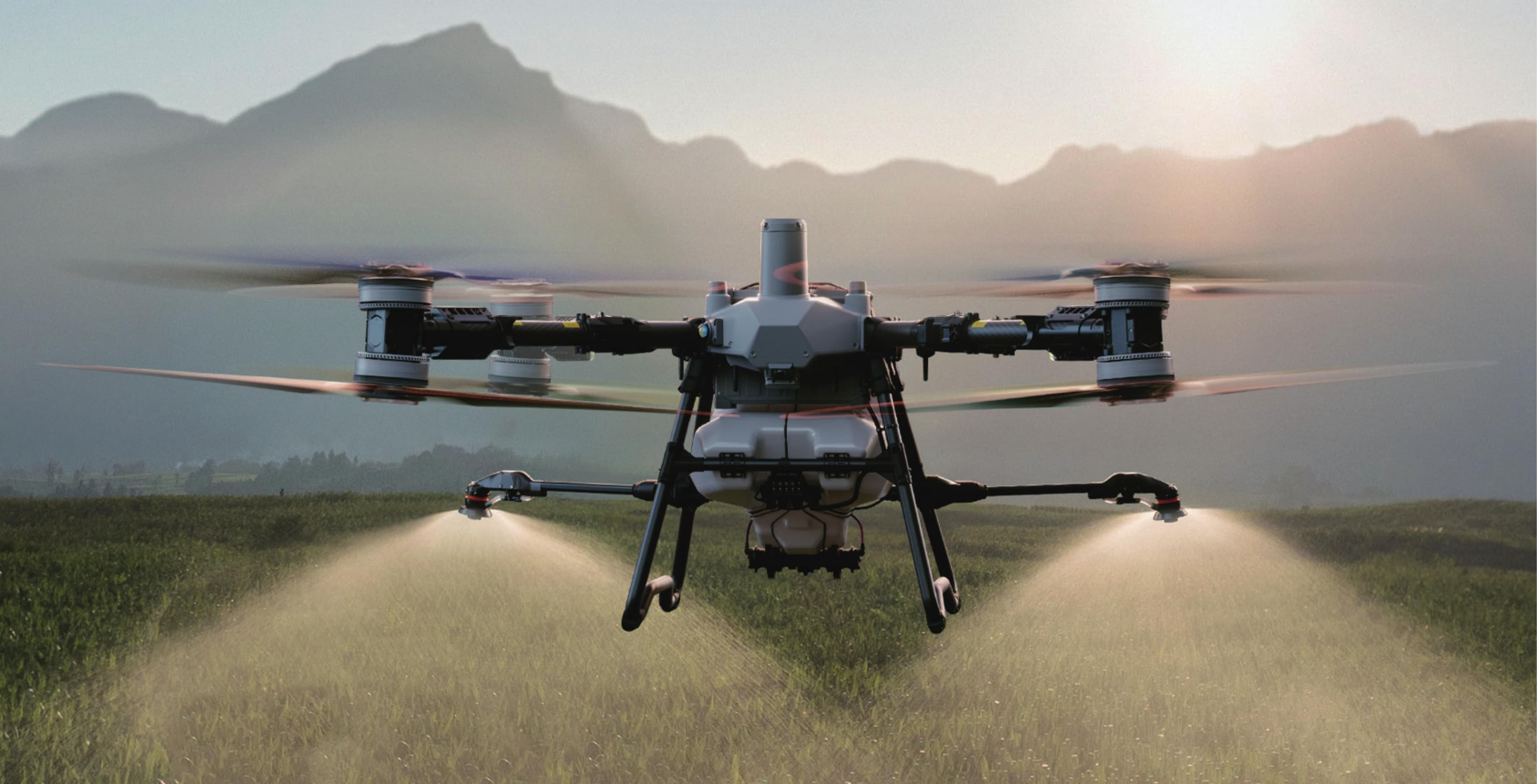 DJI T100 aplicando sobre el cultivo