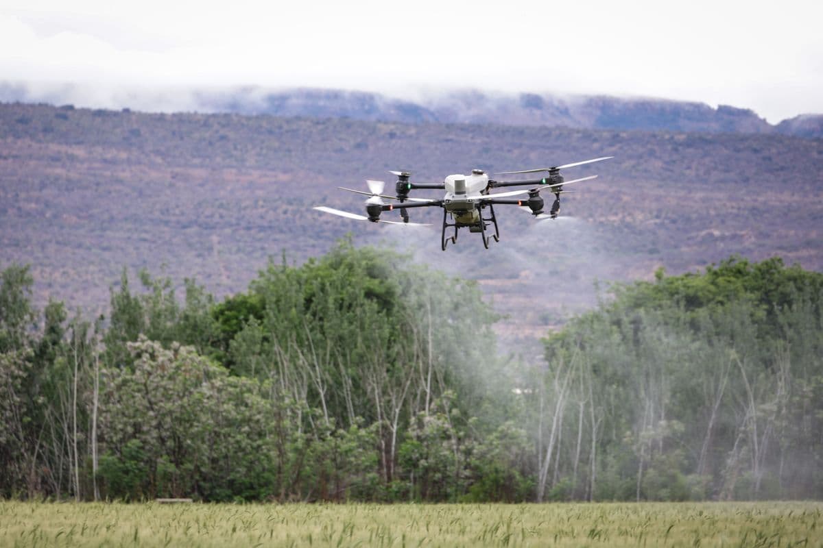 DJI T100 en aplicación de precisión, con tanque y brazos de pulverización