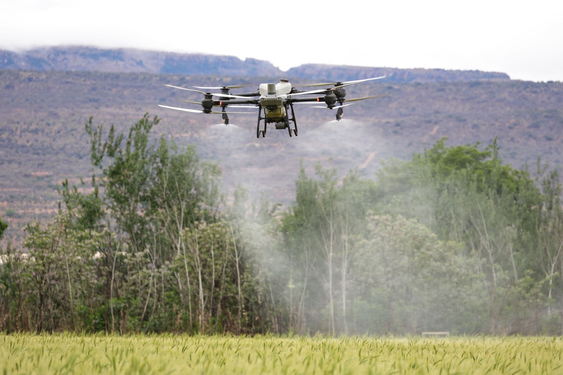 Mapeo y aplicación con drones